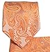 Paisley Men's Tie and Pocket Square Sets