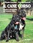 Il cane corso. Origini e prospettive del molosso italico