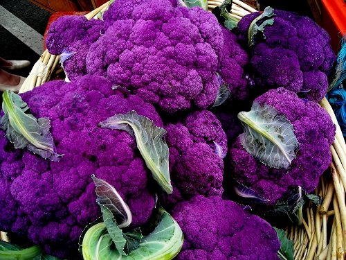 Purple Cauliflower - 4 Plants Purple Cauliflower - 4 Plants
