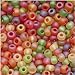 Czech Seed Beads 6/0 'Fall Harvest' Mix Green Red Orange (1 Ounce)