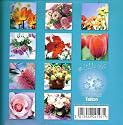 Birthday Cards - Pack of 10 - Floral Designs
