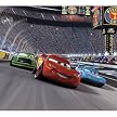 Cars Race Track Mini Mural - 28x31"