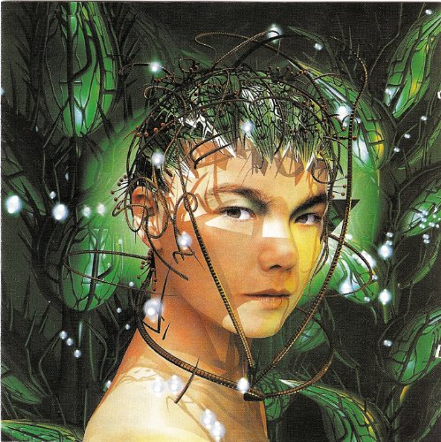 Björk Foto 5