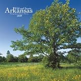 Arkansas, Wild & Scenic 2009 Square Wall Calendar