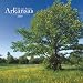 Search : Arkansas, Wild & Scenic 2009 Square Wall Calendar