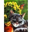 Afternoon Nap 1000pc Jigsaw Puzzle by Marilyn Barkhouse