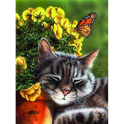 Afternoon Nap 1000pc Jigsaw Puzzle by Marilyn Barkhouse
