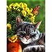 Afternoon Nap 1000pc Jigsaw Puzzle by Marilyn Barkhouse