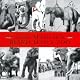 Blind Man's Zoo