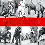 Blind Man's Zoo