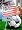 New England Revolution