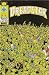 Dreadstar #20 Vol. 1 July 1985