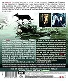 Image de Stalker (édition HD restaurée) [Blu-ray]