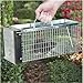 Havahart X-Small Professional Style One-Door Animal Trap for Chipmunk, Squirrel, Rat, and Weasel - 0745
