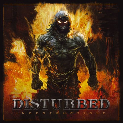 CD-Charts  Music : Indestructible (2 LP w/Bonus CD)