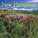 Wild & Scenic New Hampshire 2006 Calendar