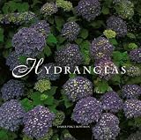 Hydrangeas