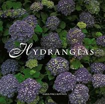 Hydrangeas