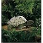 Folkmanis Tortoise Hand Puppet