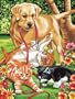 9 Inch x12 Inch Junior Paint By Number Kit - Dog & Kittens