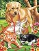 9 Inch x12 Inch Junior Paint By Number Kit - Dog & Kittens