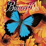 Butterflies 2013 Calendar