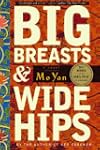 Big Breasts and Wide Hips: A Novel