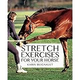 stretch exercises for your horse the path to perfect suppleness
