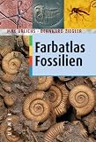 Details zu "Farbatlas Fossilien" Details zu "Farbatlas Fossilien"