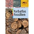 Farbatlas Fossilien