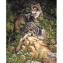 Paint by Number Wild & Free Wolves