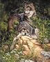 Dimensions PaintWorks/Paint By Number Wild & Free Wolves