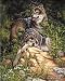 Paint By Number Wild & Free Wolves