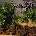 15386OZ - Oak Trail Twig House Path Light