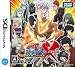 2010/07/22 発売日 家庭教師ヒットマンREBORN!DSフレイムランブルXX(ダブルイクス) 超決戦!真6弔花!!(特典なし)