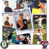 Toronto Blue Jays Ted Lilly 20 Different Cards