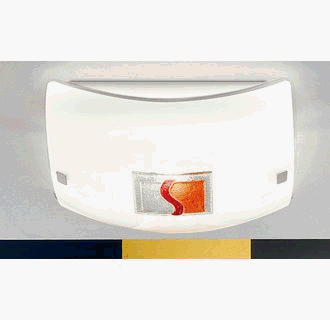 Eglo 88537A Input, Red and Orange, 2-Light Wall/Ceiling Light Fixture