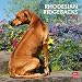 Rhodesian Ridgebacks 2012 Square 12X12 Wall Calendar (Multilingual Edition)