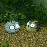 from Smart Solar Bright Eye Owl Spot Light