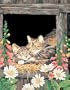 Dimensions PaintWorks/Paint By Number, Nap Time