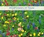 Wildflowers of Texas Calendar