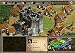 Age of Empires 2 - Age of Kings