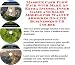 Massive Cash Flow Pack with Make An Extra Income, Inner Game and Sales Models for Walnut Armoires On-line Businesses 3 CD Course