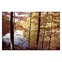 Gallery Wrapped A Secret Pond by Kurt Shaffer - (18 x 24")