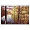 Gallery Wrapped A Secret Pond by Kurt Shaffer - (18 x 24")