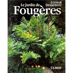 Jardin de fougeres (le)