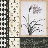Argyle et Fleurs I by Carol Robinson poster print,12 in. x 12 in.