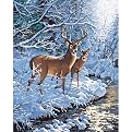 Creekside Deer PBN