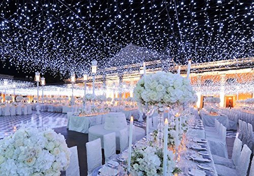 Tesoar Wedding Party Lights Christmas Backdrop 9.8 x 9.8Ft (3M x 3M) Pure White 300 LED Fairy Garden Curtain String Lights Decoration for Christmas Wedding Church Party 110V