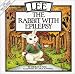 Lee, the Rabbit With Epilepsy (Special Needs Collection)